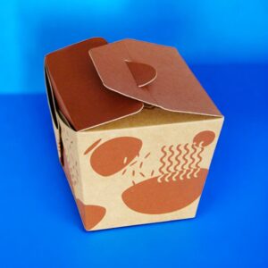 noodle-packaging-boxes